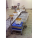 Ag-Pak In-Line Box Check Weigher